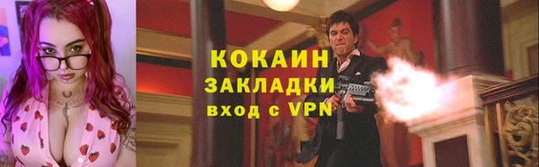 шишки Абинск