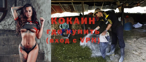 шишки Абинск