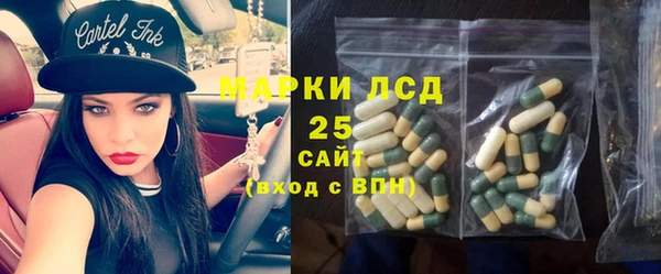шишки Абинск