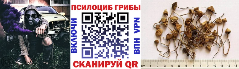 наркотики  Чекалин  Галлюциногенные грибы мухоморы 